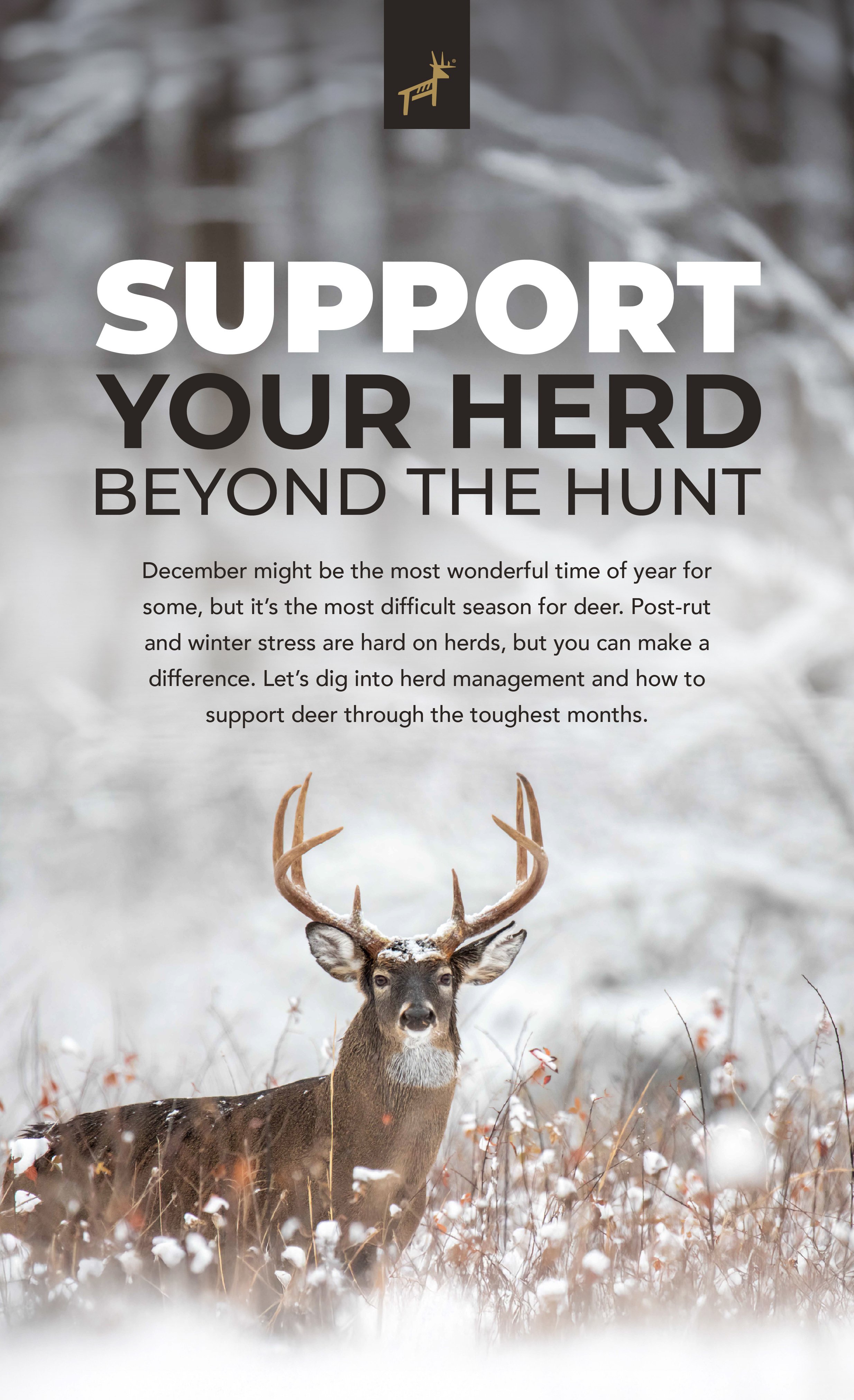 Hunt_December tribe_Newsletter_v1224_R5-01