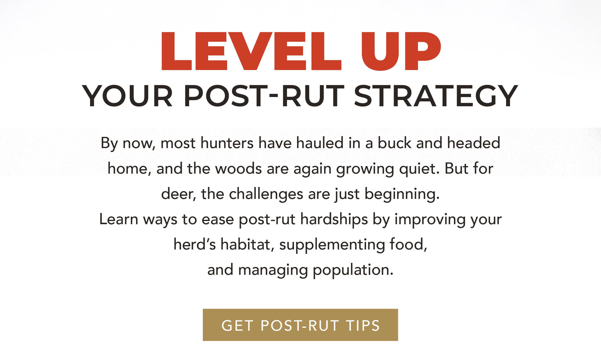 Hunt_December tribe_Newsletter_v1224_R5-02