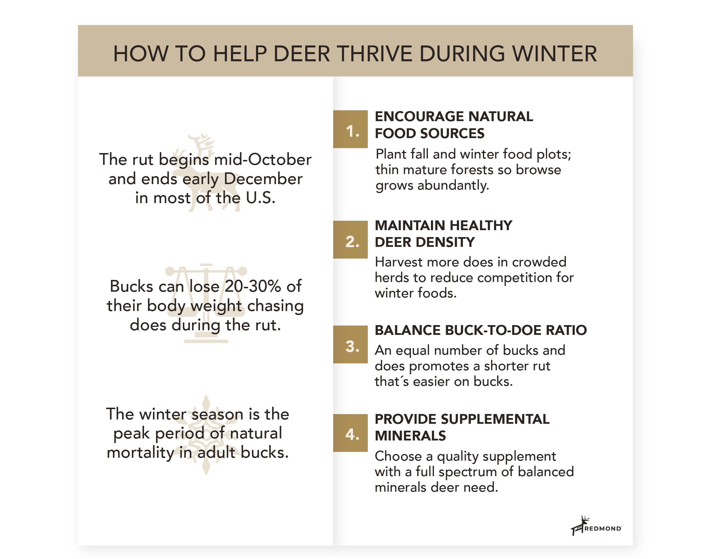 Hunt_December tribe_Newsletter_v1224_R5-03
