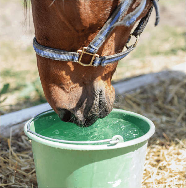 hydration-solution hydration-solution