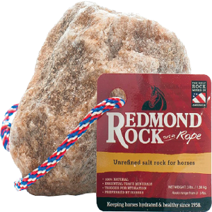 rock-with-rope-homepage