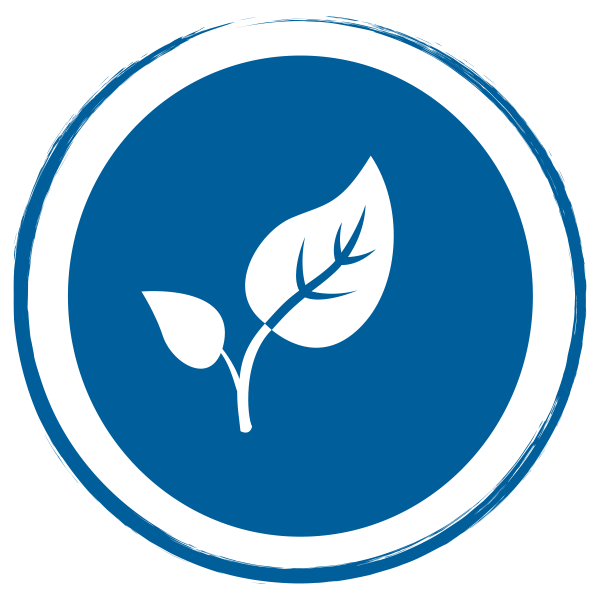 blue leaf