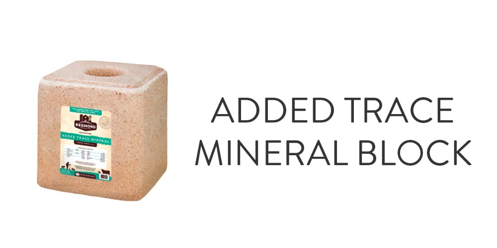 Added Trace Mineral Block