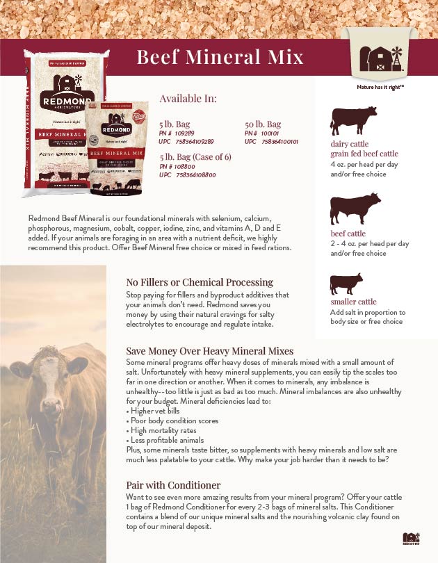 Beef Mineral Flyer-01