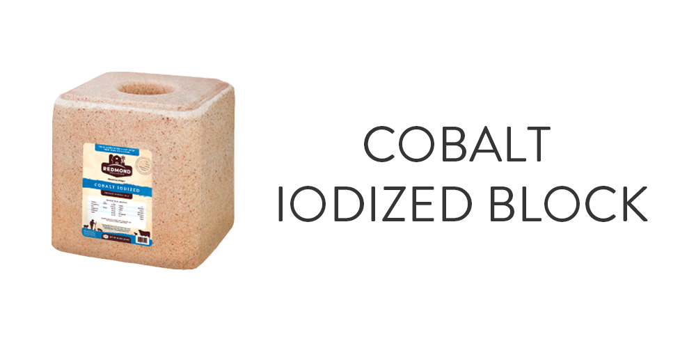 Cobalt Iodized Block