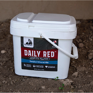 Daily-red-bucket