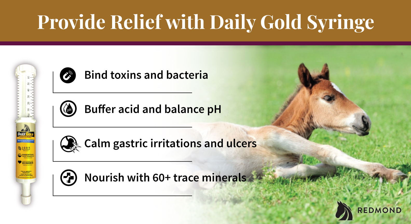 Provide relief from foal diarrhea with Daily Gold Syringe.