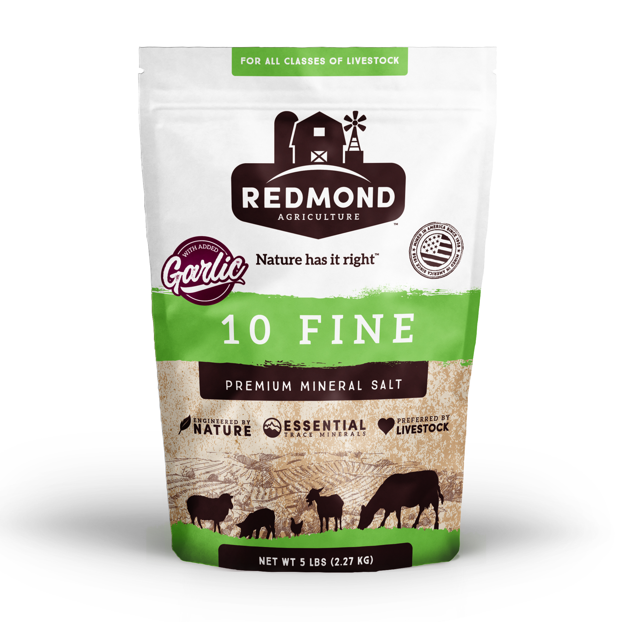 Redmond 10 Fine Premium Mineral Salt - Garlic - 5 lb