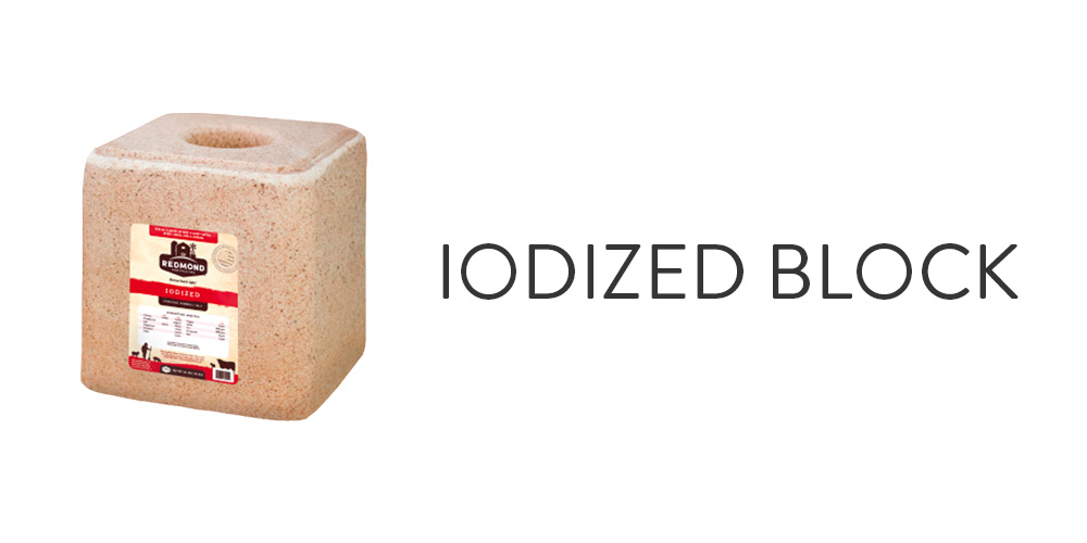Iodized Block