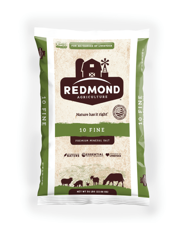 Redmond 10 Fine Premium Mineral Salt - 50 lb