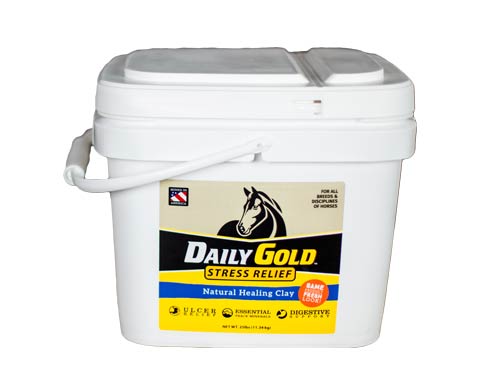 Daily Gold bucket white