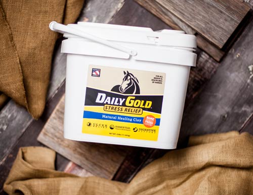 Daily Gold bucket