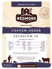 Redmond Selenium 30  Premium Mineral Salt Block