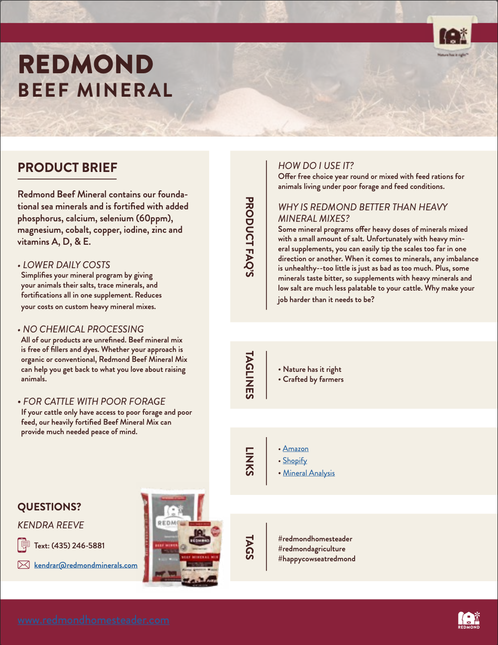 Beef Mineral Influencer Prompt