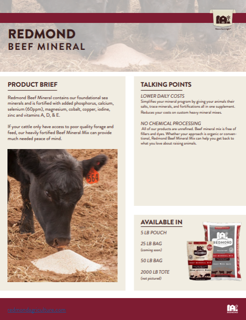 Beef Mineral