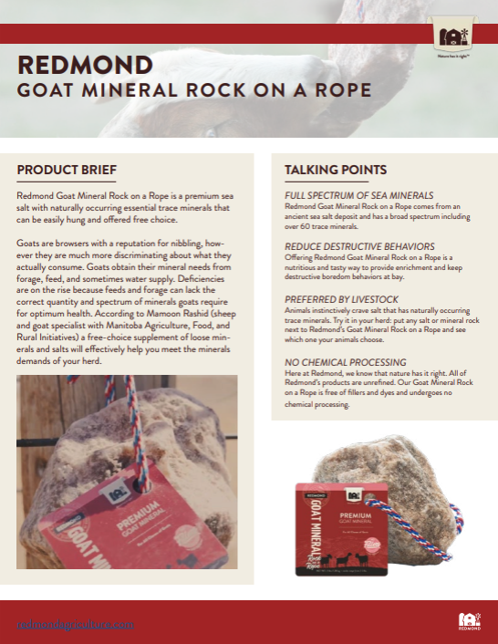 Goat Mineral Rock on a Rope