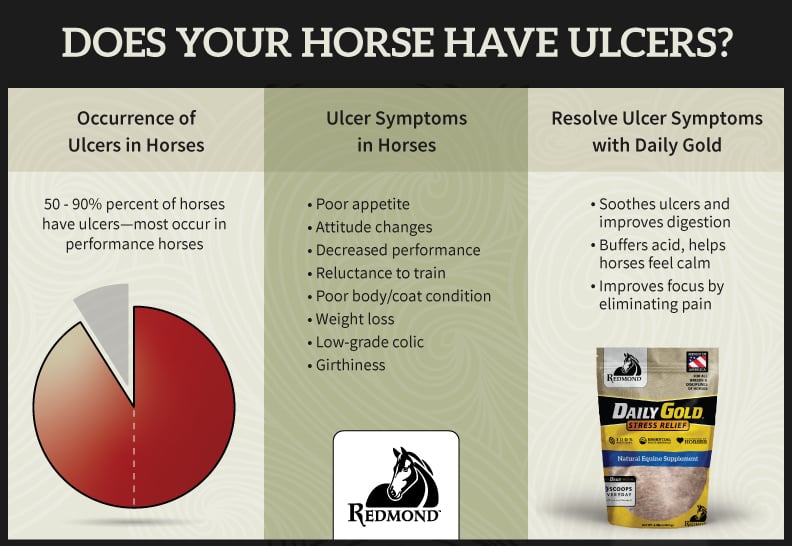 symptoms of ulcers in horses