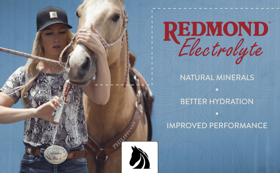 Redmond equine electrolyte paste