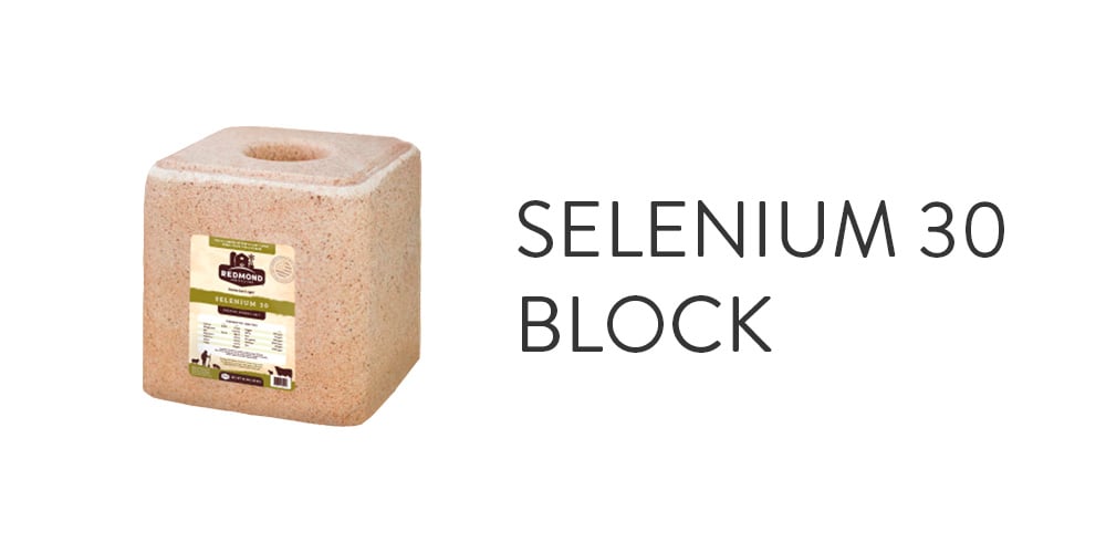 Selenium 30 Block