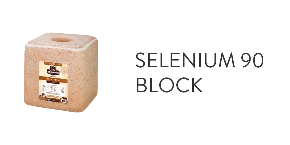 Selenium 90 Block